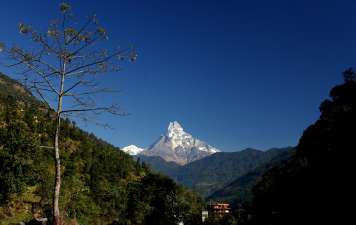 Fishtail view from Ghorepani Trail