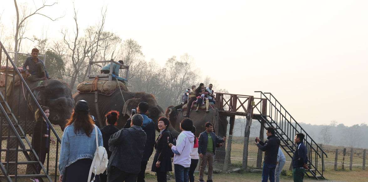 Chitwan Jungle Safari in Nepal Family Adventure