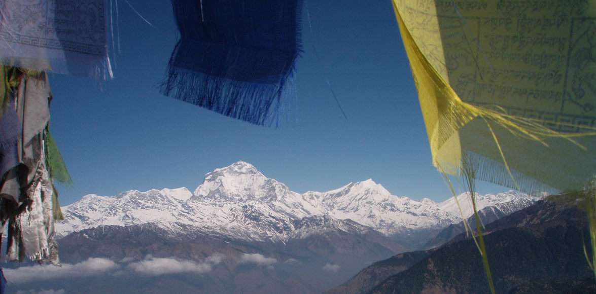 Himalayan View