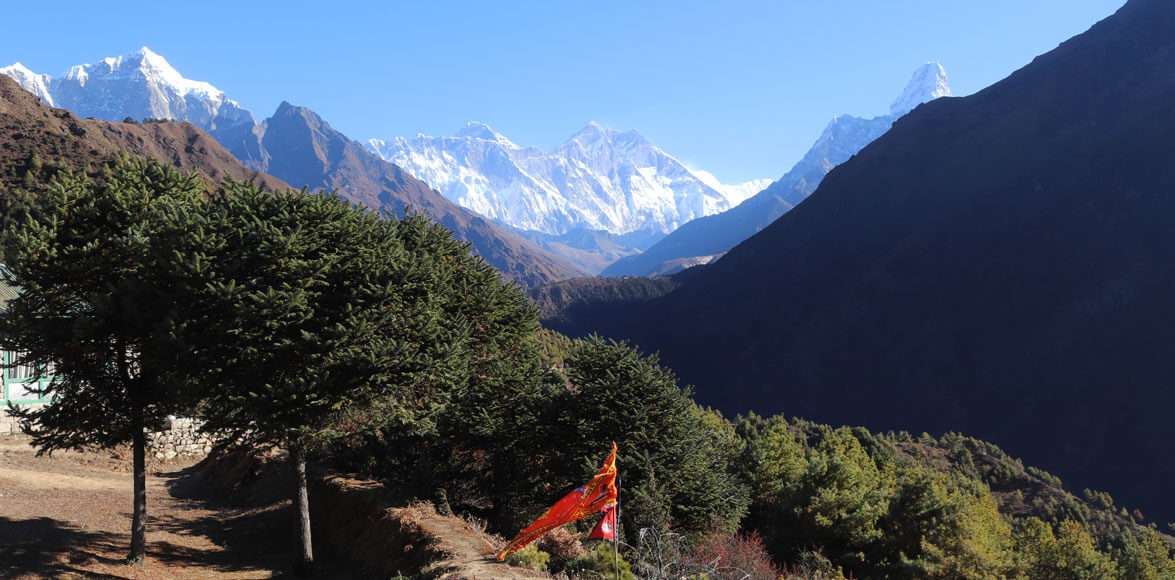 Himalayan View