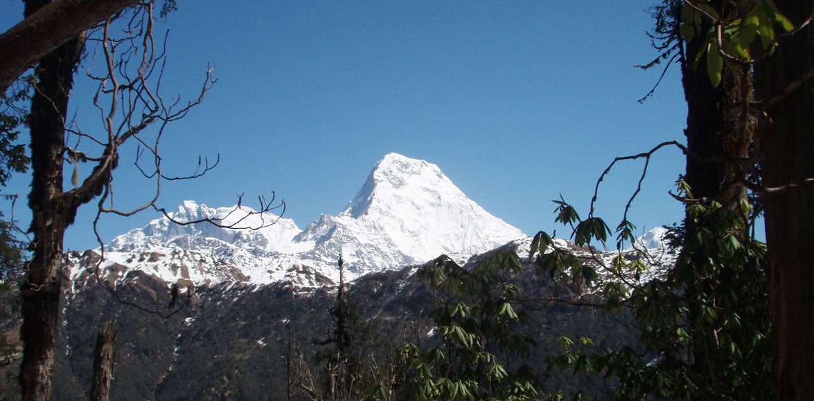 Himalayan View