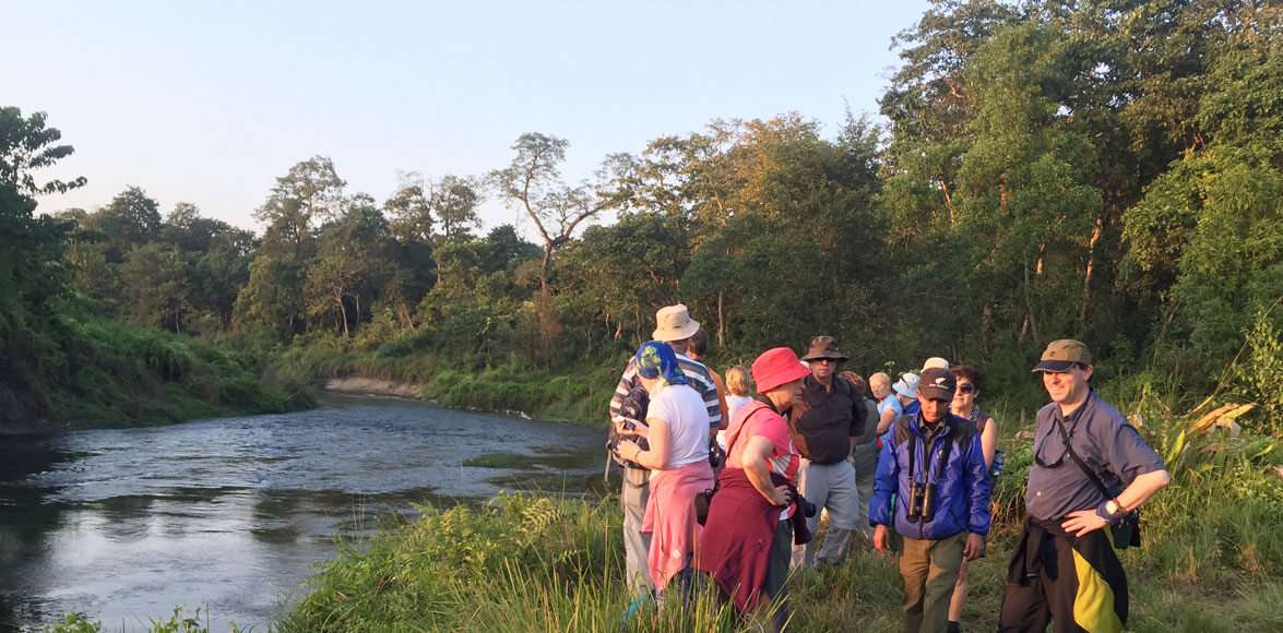 Jungle Hiking in Chitwan