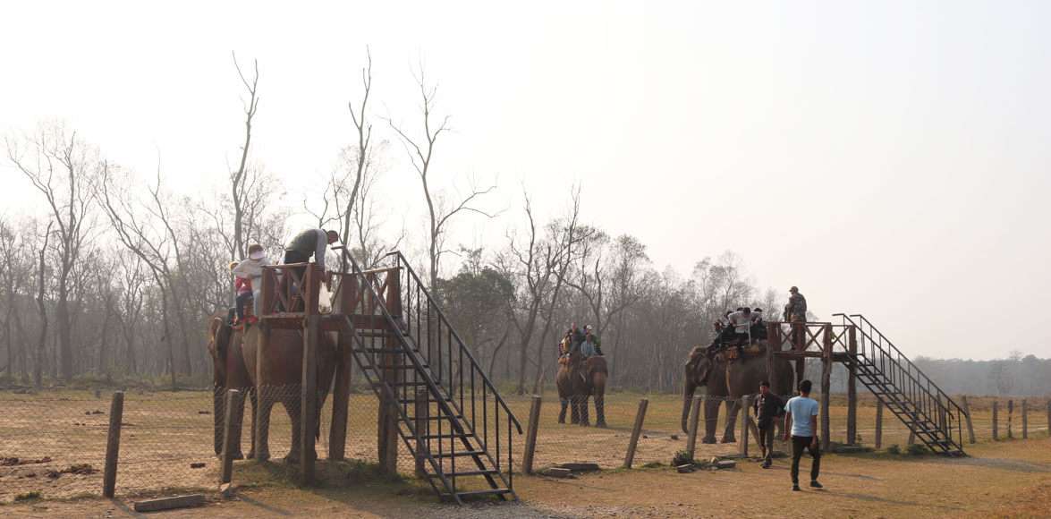 Chitwan Jungle Safari in Nepal Student Tour