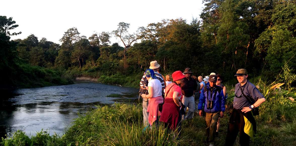 Jungle Walking in Chiwan National park