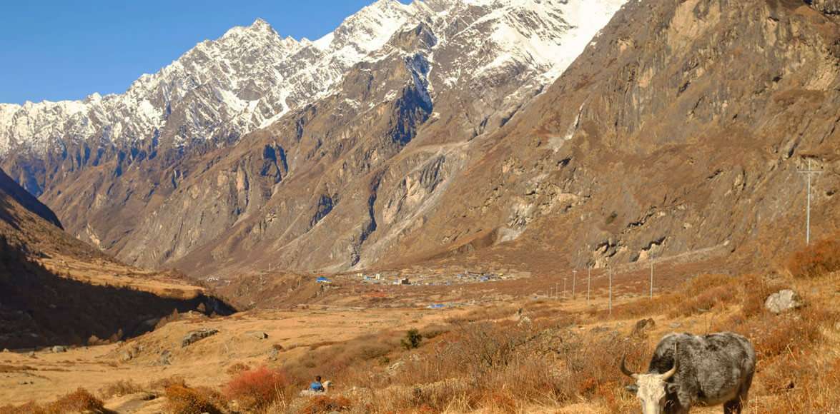 Langtang Village