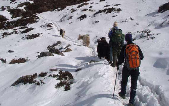 Annapurna Circuit Trek