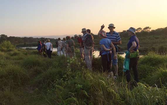 Chitwan Jungle Safari