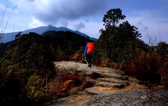 Dhampus Sarangkot Trek